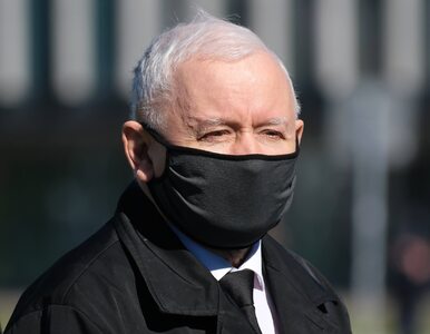 Miniatura: Osoba z otoczenia prezesa PiS: Kaczyński...