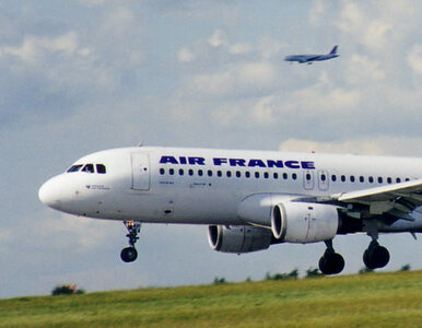 Miniatura: Strajk pilotów we Francji to 10-15 mln...