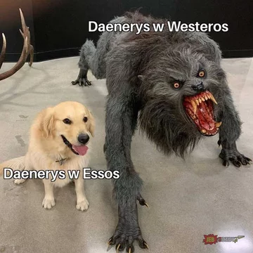 Mem komentujący przemianę Daenerys Targaryen w „Grze o tron” 