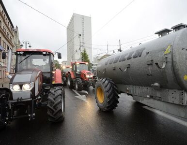 Miniatura: Traktory już nie blokują Bydgoszczy. Na razie