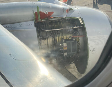 Silnik samolotu zaczął się rozpadać na oczach pasażerów. Przerażające...