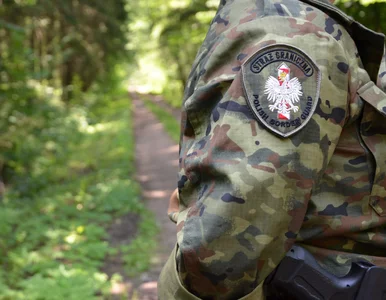 Miniatura: Migranci próbowali sforsować granicę...