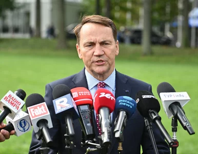 Miniatura: Sikorski w kolejnym zagranicznym...
