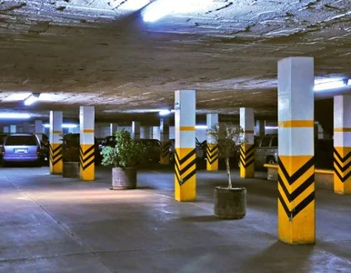 Miniatura: Miejsce parkingowe za milion dolarów