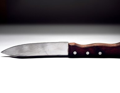 Miniatura: Namawiała córkę do samobójstwa. 17-latka...