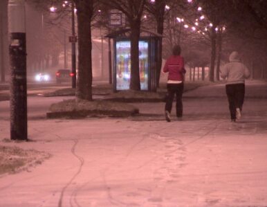 Miniatura: Śnieg sypnął w Łodzi