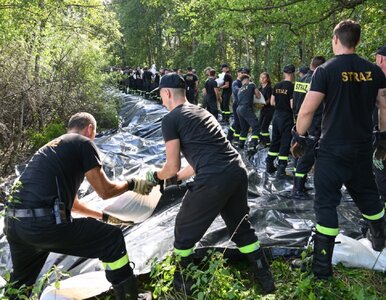 Miniatura: Takie są nastroje panujące we Wrocławiu....