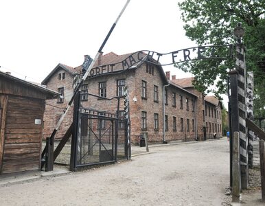 Miniatura: Niemcy zbudowali wirtualny Auschwitz. Tak...