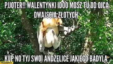 Walentynkowy mem 