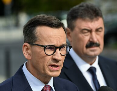 Miniatura: Tak Polacy ocenili ruch Morawieckiego....