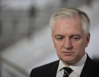 Miniatura: PO nie wyrzuci Gowina z partii?