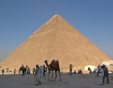 Miniatura: Największa atrakcja Egiptu zamknięta....