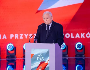 Miniatura: Sondaż w okręgu wyborczym Jarosława...