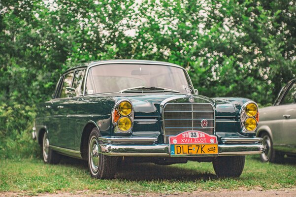 Miniatura: Klasyczne Mercedesy