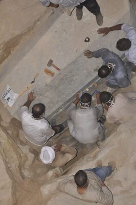 Miniatura: Sarkofag wykopany w Aleksandrii