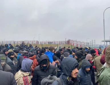 Miniatura: Maleje liczba migrantów przy granicy....