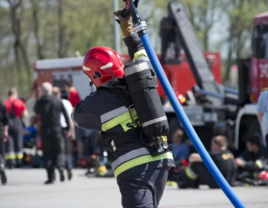 Miniatura: Śpisz, a w domu jest pożar? Naukowcy...