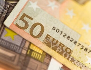 Miniatura: Oddalamy się od euro