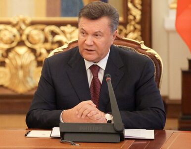 Miniatura: Janukowycz w Bykowni: współczujemy Polakom
