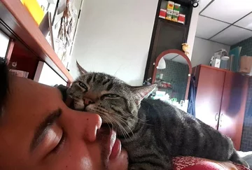 Lomphonten Lomphontan i jego kot 