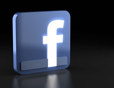 Miniatura: Facebook dał miliard za aplikację