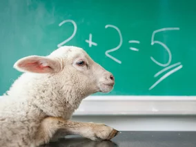 Miniatura: Kartkówka z matematyki. Odpowiedź na te...