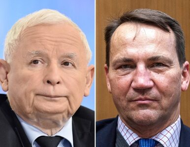 Miniatura: Kaczyński jest „winny” Sikorskiemu 46 tys....