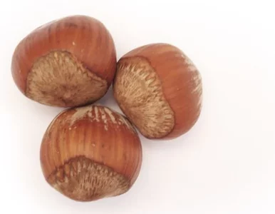 Miniatura: W samolotach Air Canada będą strefy bez...