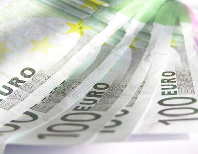 Miniatura: Zbiórka na ratowanie strefy euro trwa....