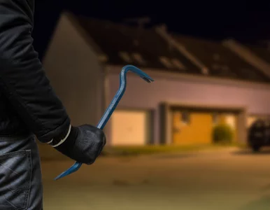 Miniatura: Jak zniechęcić włamywacza? Eksperci...