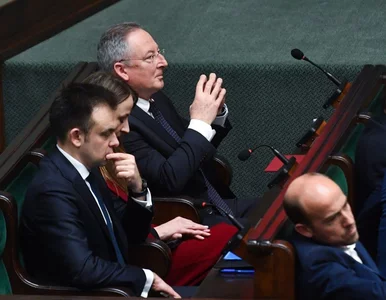 Miniatura: Domysły w sprawie „torebki z proszkiem”....