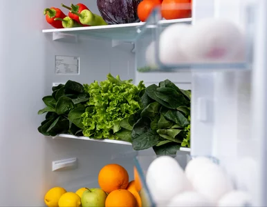 Miniatura: Lodówka pracuje bez przerwy, a rachunki...