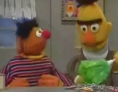 Miniatura: Pornografia na Ulicy Sezamkowej