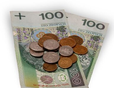 Miniatura: Polacy wolą wydawać, a nie oszczędzać
