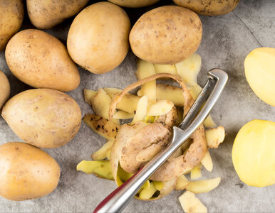 Miniatura: Zamiast do kosza – podlej tym rośliny....