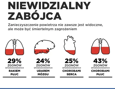 Miniatura: Czyste powietrze to przywilej.