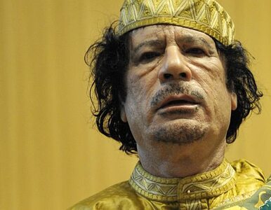 Miniatura: NRL: zobaczyli Kadafiego i co mieli...