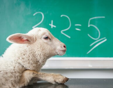 Miniatura: Kartkówka z matematyki. Odpowiedź na te...