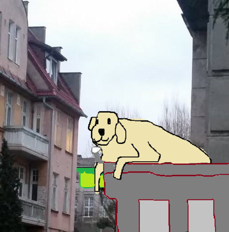 Zdjęcie z profilu Pjes z balkonu na rogu Politechnicznej i Bohaterów Getta Warszawskiego 