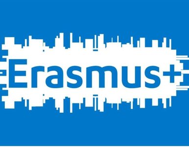 Miniatura: Jeszcze więcej Erasmusa