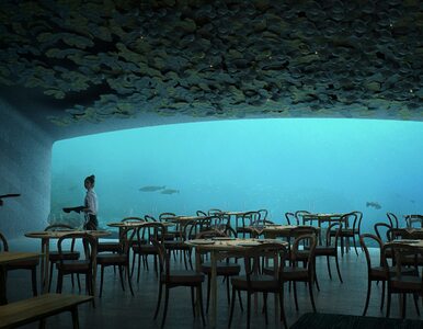 Miniatura: Powstaje największa na świecie podwodna...