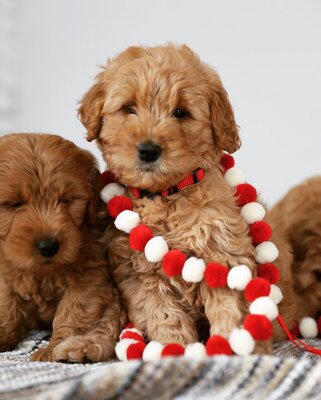 Miniatura: To miejsce to raj na ziemi dla miłośników...