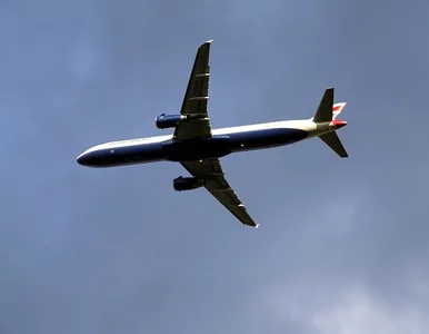 Miniatura: Linie przepraszają za lot opóźniony o......