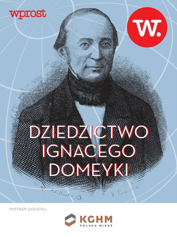 Dziedzictwo Ignacego Domeyki