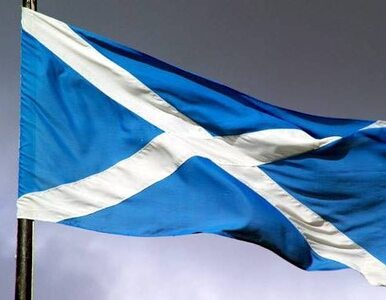 Miniatura: Szkoci zdecydują, czy chcą niepodległości