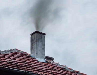 Miniatura: 10 mld zł zaległości. Firmy czekają na...