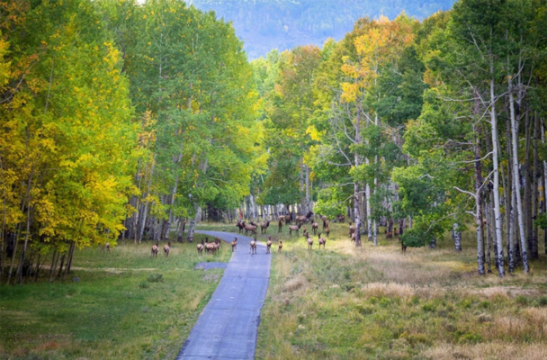 Miniatura: Tom Cruise sprzedaje swoją posiadłość w...