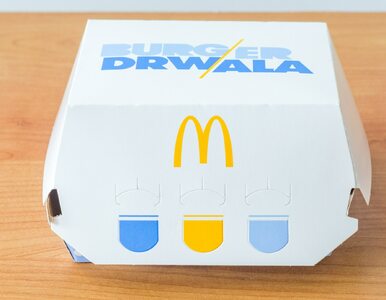 Miniatura: Nowe ceny Burgera Drwala. Ma być jeszcze...