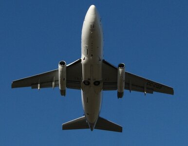 Miniatura: Lufthansa uruchomi własne tanie linie...