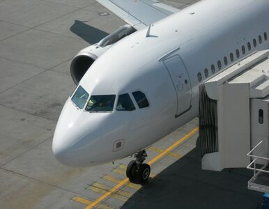 Miniatura: Kłopoty z lądowaniem samolotu Lufthansy....
